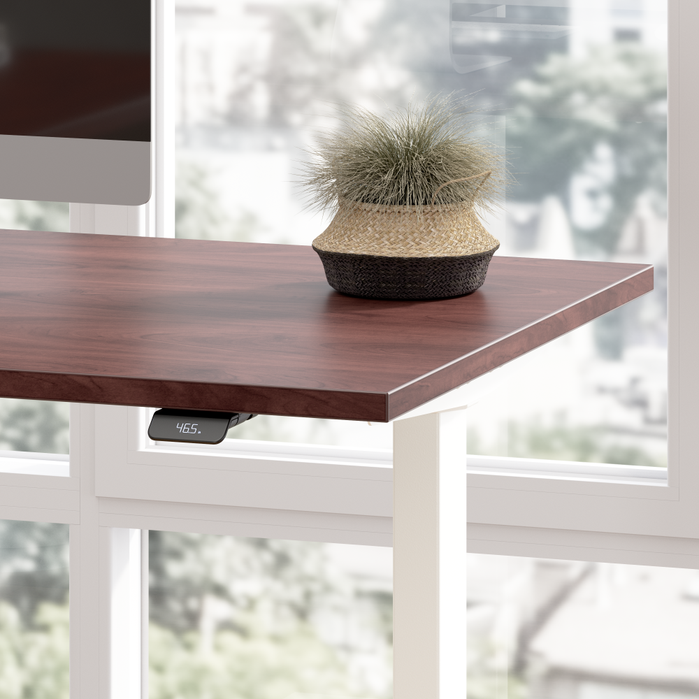 Move 40 Series 60W x 30D Electric Height Adjustable Standing Desk