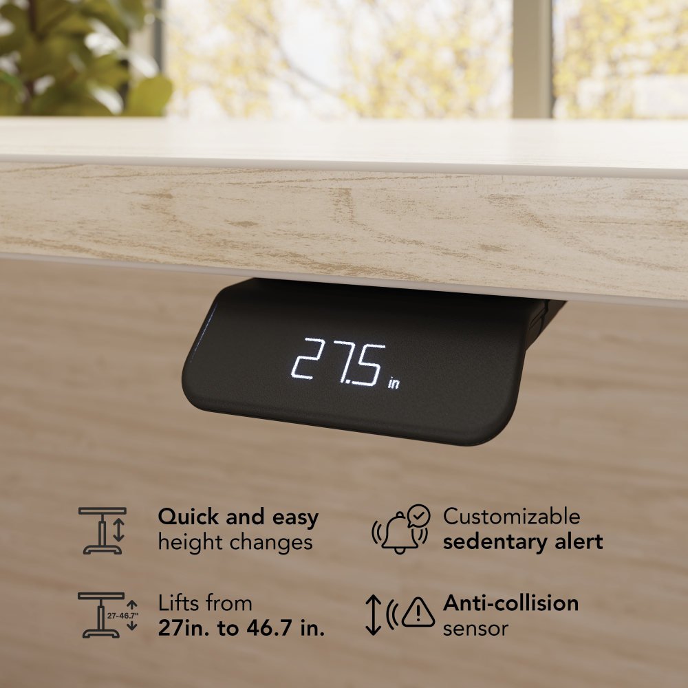 Stratus 60W x 30D Electric Height Adjustable Standing Desk with Modesty Panel